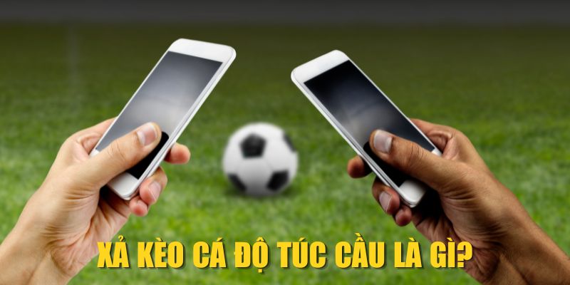 Xả kèo cá độ túc cầu là gì?