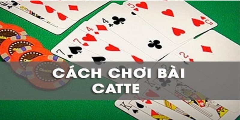 Cách Chơi Bài Catte - Bí Kíp Để Bạn Chơi Hay Như Cao Thủ