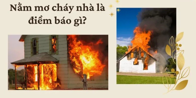 Độ hiệu quả to lớn khi dùng mẹo mơ lô đề 