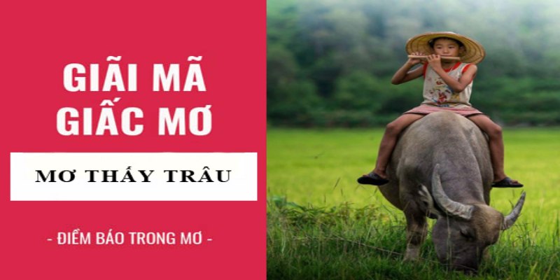 Lợi ích nhận về khi giải mã chiêm bao lô đề