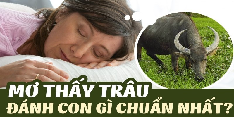 Mơ Thấy Trâu Đánh Con Gì Chuẩn Xác Từ Cao Thủ Lâu Năm