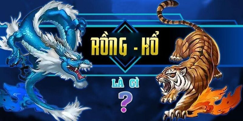 Học cách chơi Rồng Hổ online hiệu quả