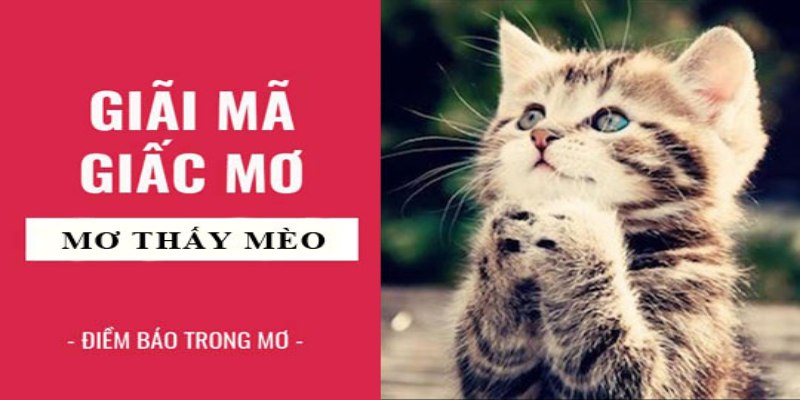 Lợi ích khi giải mã chiêm bao lô đề