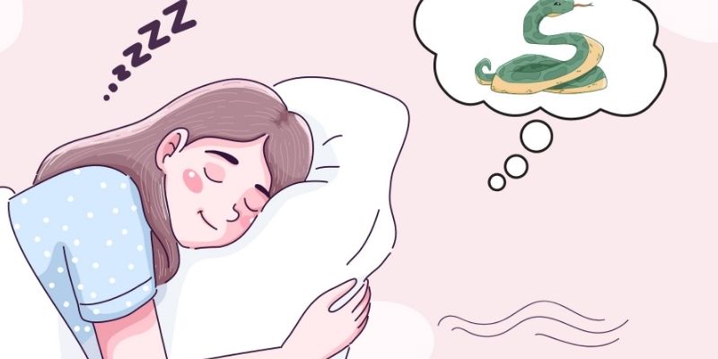 Nằm Mơ Thấy Rắn Ý Nghĩa Xấu Hay Tốt? Đánh Số Gì May Mắn?