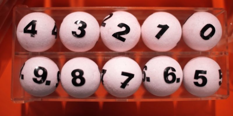 Nuôi lô khung sở hữu sức hút khó cưỡng