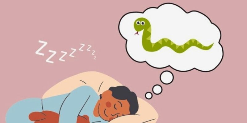 Sơ lược về giấc mơ thấy rắn