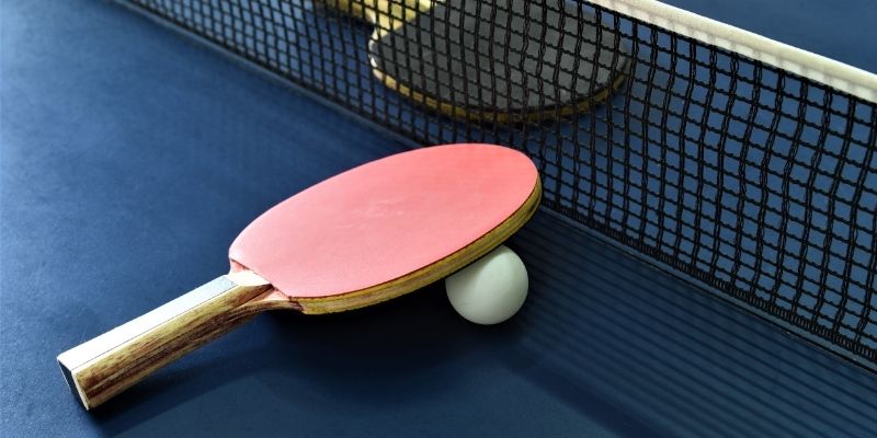 Cá Cược Bóng Bàn