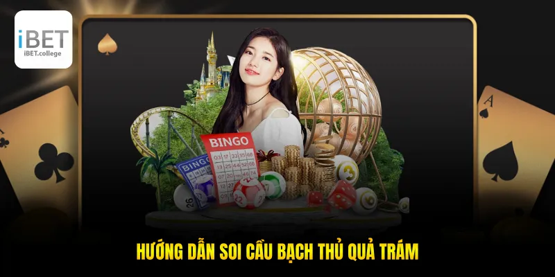 Hướng dẫn soi cầu bạch thủ quả trám