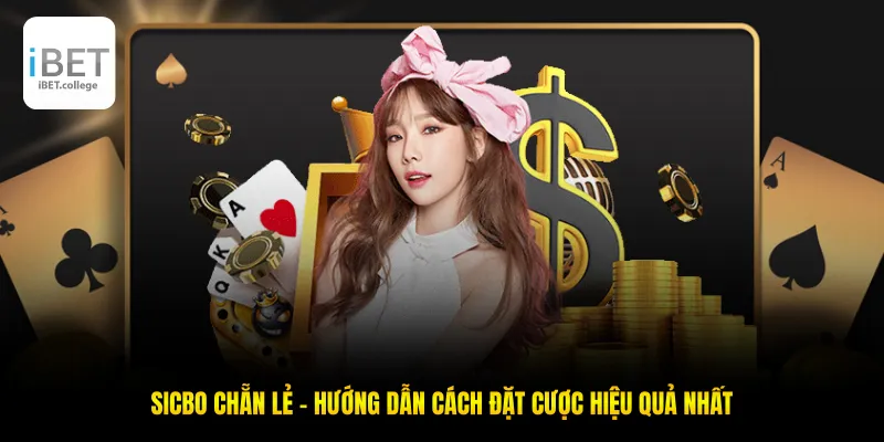 Sicbo Chẵn Lẻ - Hướng Dẫn Cách Đặt Cược Hiệu Quả Nhất