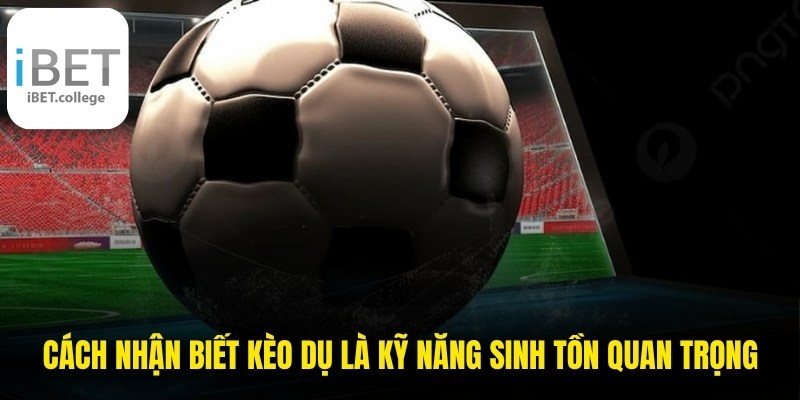 Cách nhận biết kèo dụ là kỹ năng sinh tồn vô cùng quan trọng