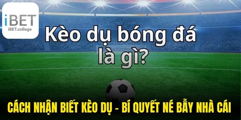 Cách Nhận Biết Kèo Dụ