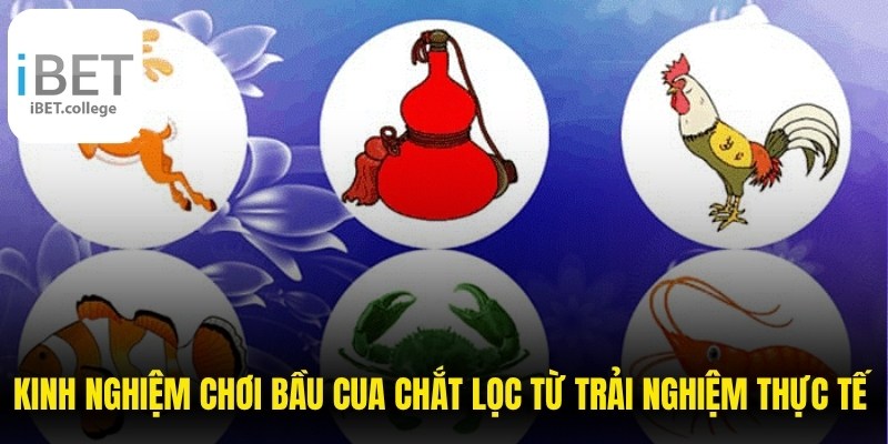 Kinh nghiệm chơi Bầu Cua chắt lọc từ trải nghiệm thực tế hiệu quả