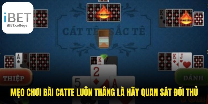 Mẹo chơi bài catte luôn thắng là hãy quan sát đối thủ 