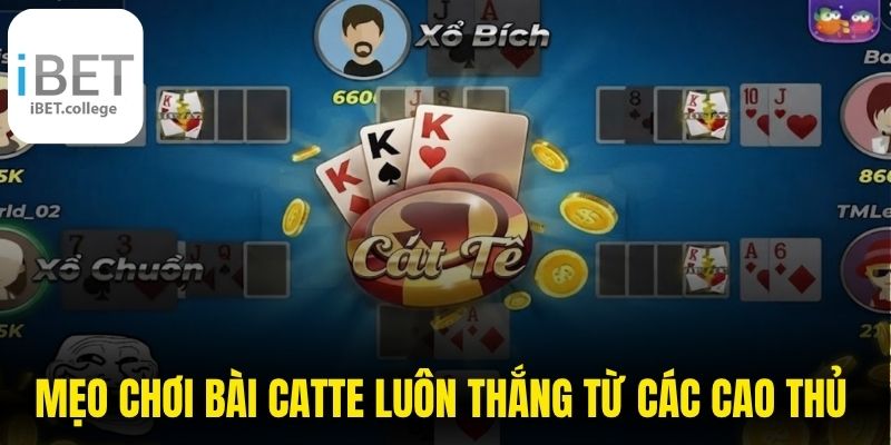 Mẹo Chơi Bài Catte